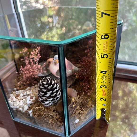Vintage Terrarium with Moss Composition 6" Glass Planter Decor - Picture 10 of 13